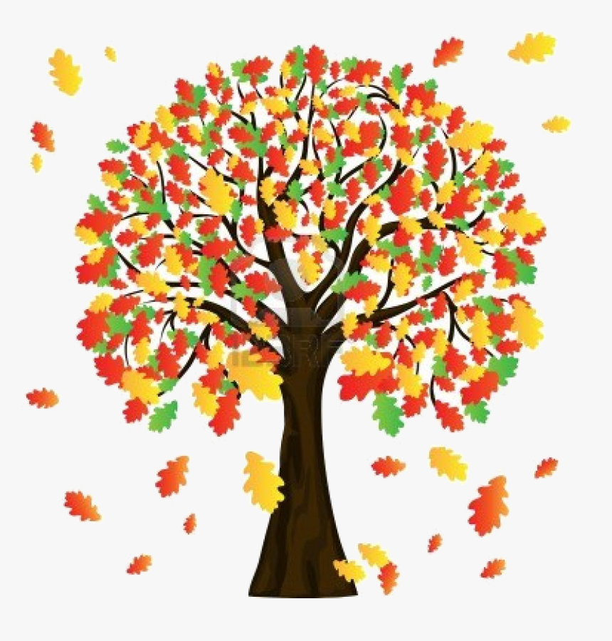  Fall tree